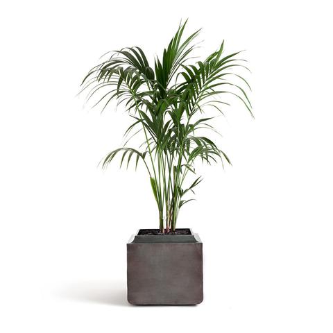 Cache pot cubique en métal h45 cm botania pas cher