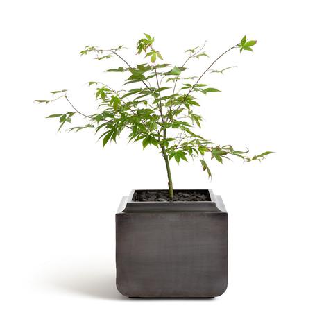 Cache pot en métal h30 cm botania pas cher