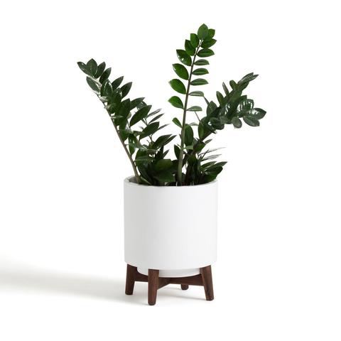 Cache pot sur pied en noyer h32 , 5 cm , florian pas cher