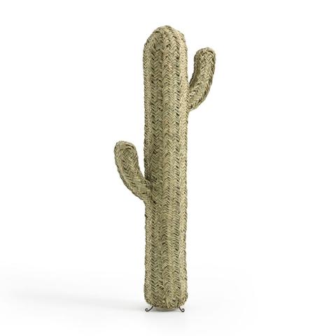 Cactus déco , pikoa pas cher