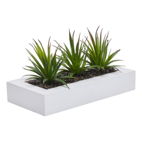 Centre de table aloe vera blanc pas cher