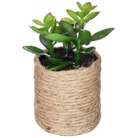 Plantes artificielle dans pot en chanvre papite aux choix pas cher