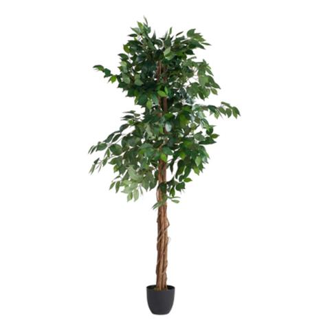 Plantes artificielle h180 cm ficus noir / vert pas cher