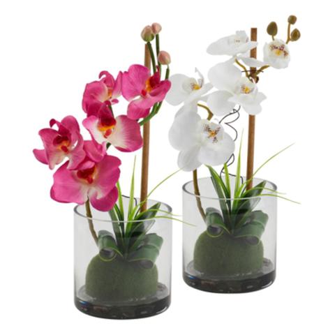 Vases orchidee compo blanc / violet pas cher