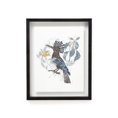 Affiches motif oiseau encadrée , huba pas cher