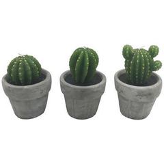 Bougies cactus dans pot opikie modèle au choix pas cher