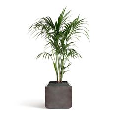 Cache pot cubique en métal h45 cm botania pas cher