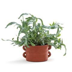 Cache pot décoratif en céramique h14 , 5 cm sira pas cher