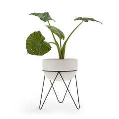 Cache pot h54 cm , plantae pas cher