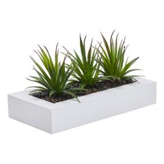 Centre de table aloe vera blanc pas cher