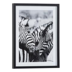 Image 30x40 cm zebres calin noir / blanc pas cher