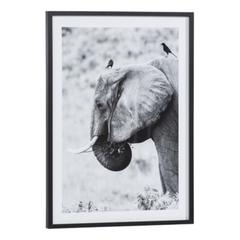 Image 50x70 cm elephant corbeau noir pas cher