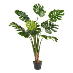 Plantes artificielle h. 110 cm monstera vert pas cher