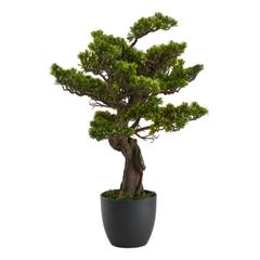 Plantes artificielle h80 cm bonsai noir / vert pas cher
