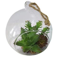 Plantes vertes dans vases ball pas cher