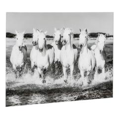 Tableaux verre 100x70 chevaux noir et blanc pas cher
