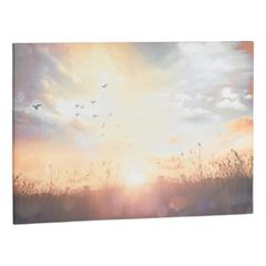 Toile 100x70 sunset multicolore pas cher